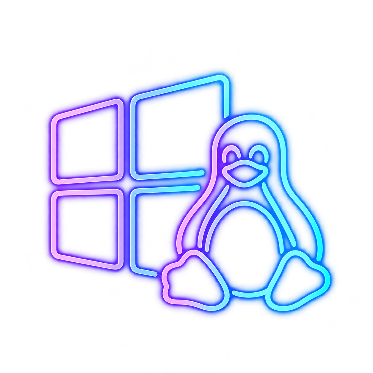 Windows or Linux operating system